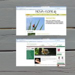 4-redac-site-web-semences-fleuries